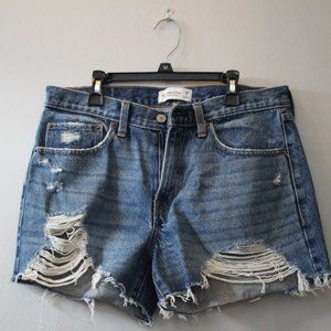 Mid Rise Distressed Denim Shorts